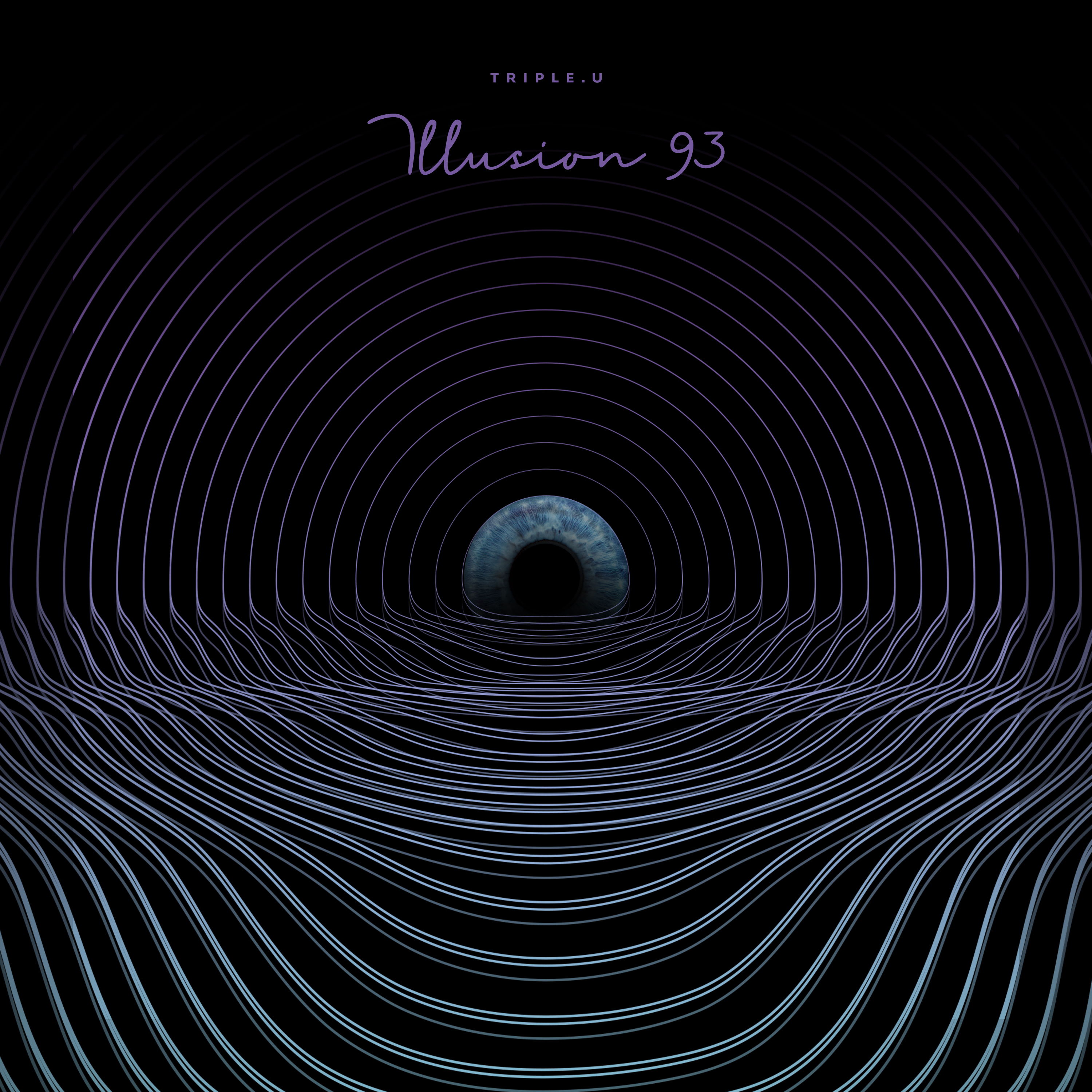 Illusion 93 artwork